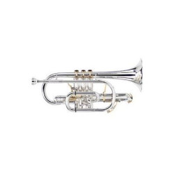 Besson BE2028-1G-0 Prestige