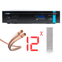 Готовый комплект Акустика для вместительного катка