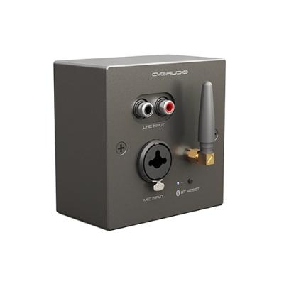 CVGaudio PW/EX-IN/BL