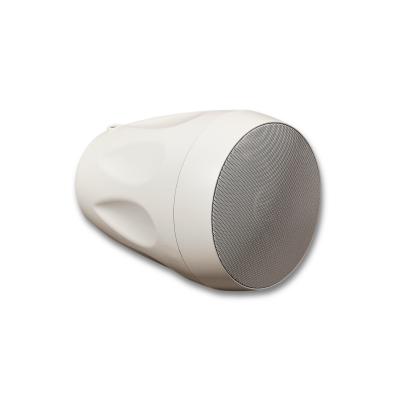 SVS Audiotechnik BWS-60W