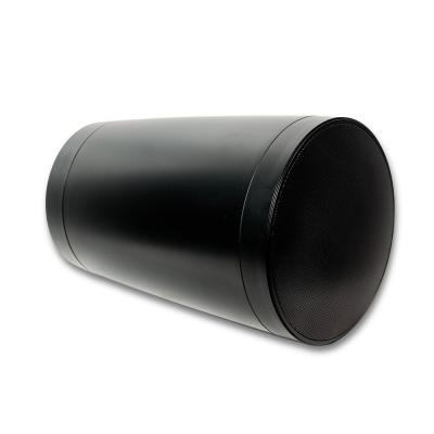 SVS Audiotechnik PAF-PW6B PRO