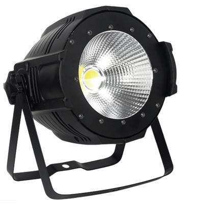 Dialighting Par100 Cob led WW/CW
