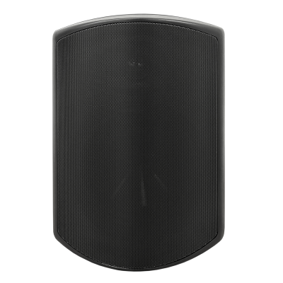 SVS Audiotechnik WSP-6B Pro