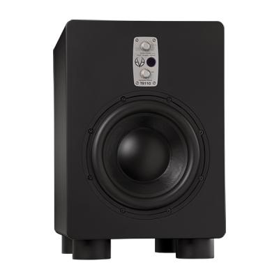 EVE Audio TS110