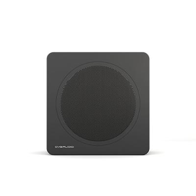 CVGAUDIO BASE-12V2/UNI