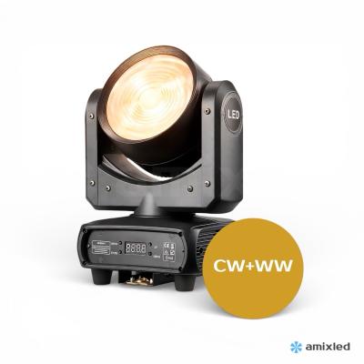 Amixled Fresnel MINI WASH 120W СW+WW