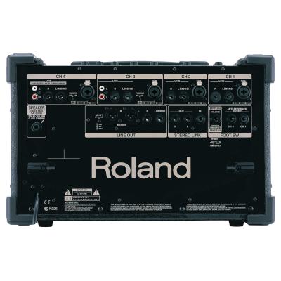 ROLAND SA-300 (товар снят с производства)
