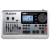 ALESIS DM10