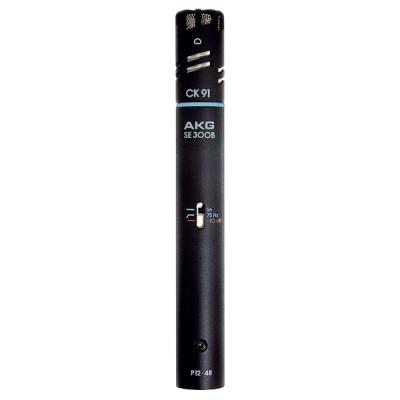 AKG C391B
