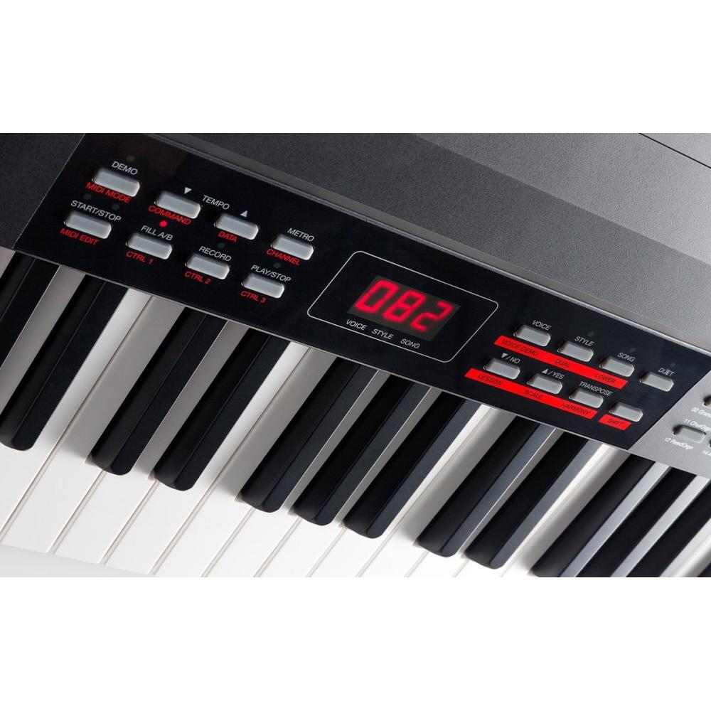 ALESIS CODA PROКупить цифровые пианино по лучшей цене.