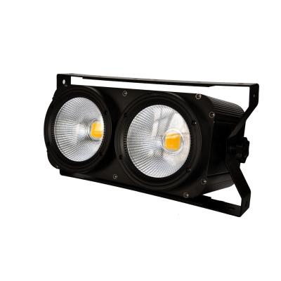 Dialighting COB Blinder WHITE 2x100W