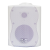 SVS Audiotechnik WS-40 White
