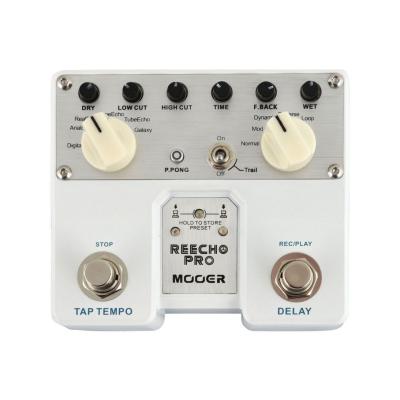 MOOER Reecho Pro