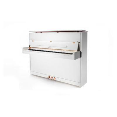 PETROF P 118S1(0001)