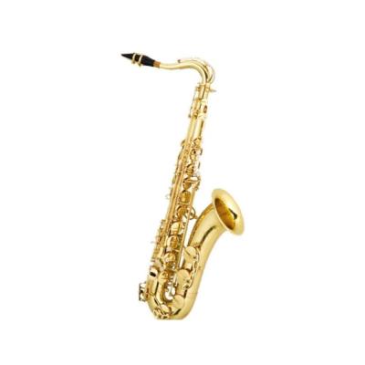 Stephan Weis TS-100G