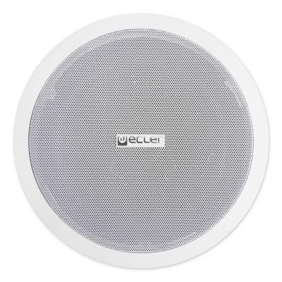 Ecler IC8