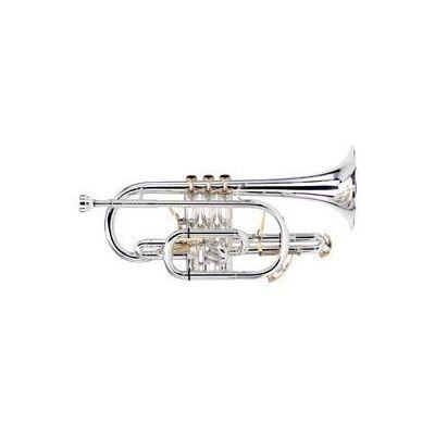 Besson BE2028-1G-0 Prestige