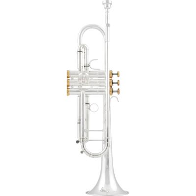 Arnolds&Sons ATR-5200GSG-TERRA