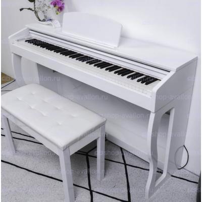 Pierre Cezar XY-8803-H-WH