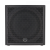 Wharfedale Pro DELTA-AX18B