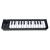 KORG microKEY2-25 AIR