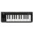 KORG microKEY2-25 AIR
