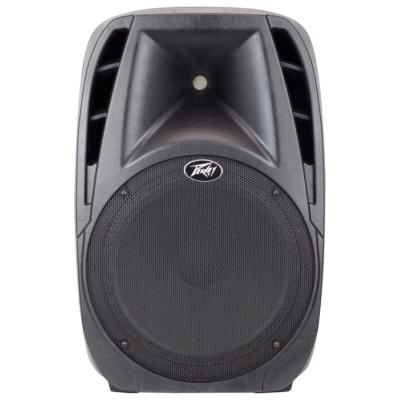 PEAVEY PBK 15FM