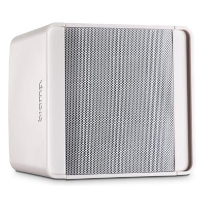 BIAMP KUBO5-W