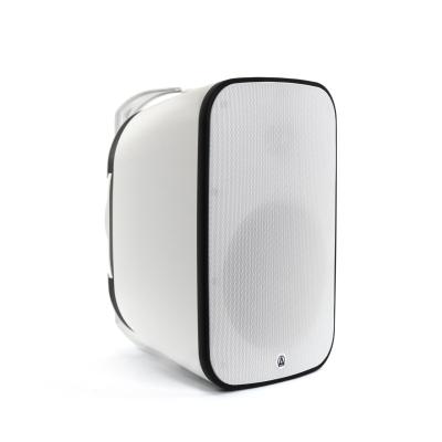 AuraSonics DENSE-8T-WH