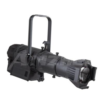 Anzhee PRO Spectrum Profile A 300 FL10