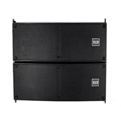 SVS Audiotechnik CASCADE 206AP