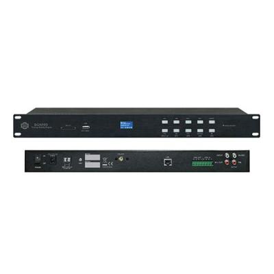 SVS Audiotechnik BGM-99