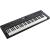 ROLAND GO:KEYS-5-GT