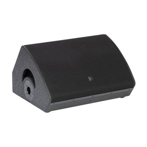 DS Proaudio MCX 12