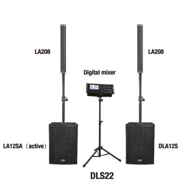 Soundking DLS22