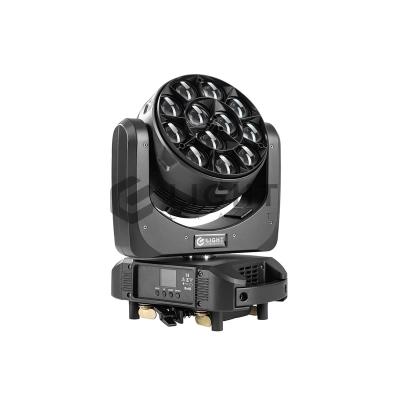LightCraft Elsa 12x40W B-EYE